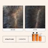 Vitality Line Conditioner